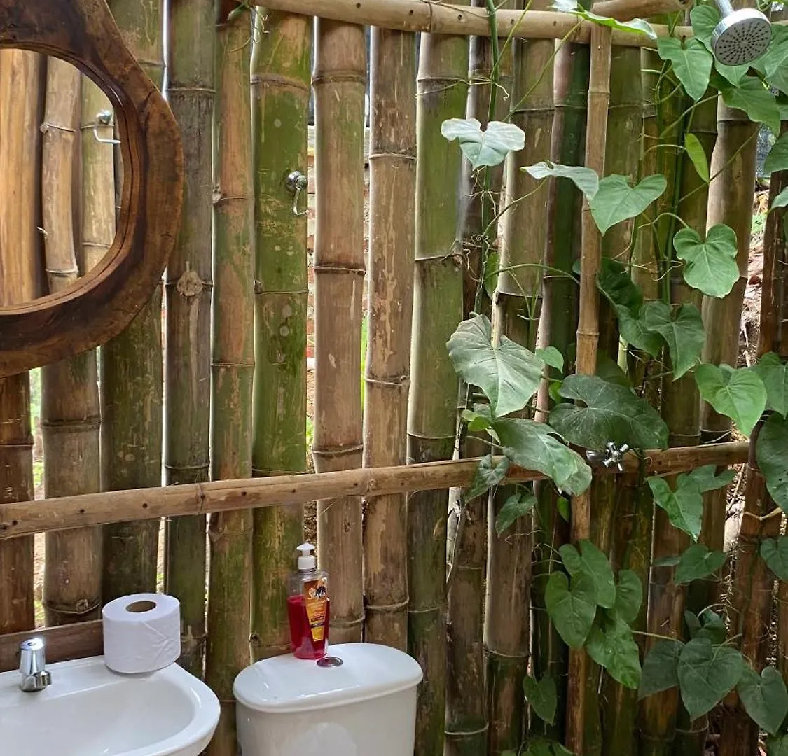 Dacnis Tayrona Glamping Hotell Santa Marta  Camping
